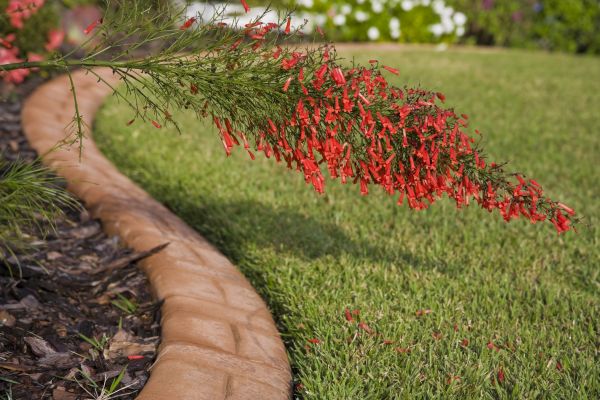 Brick Edging in Santa Maria