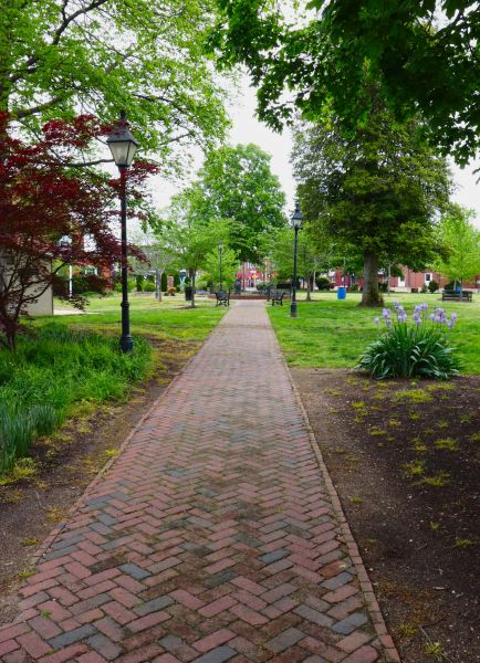 Brick Pathway Repair in Santa Maria