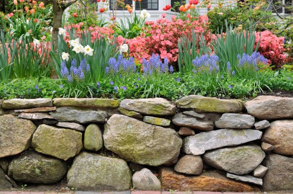 Garden Wall Installation in Santa Maria
