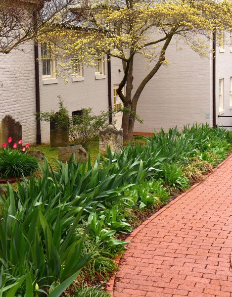 Brick Flatwork Repair in Santa Maria
