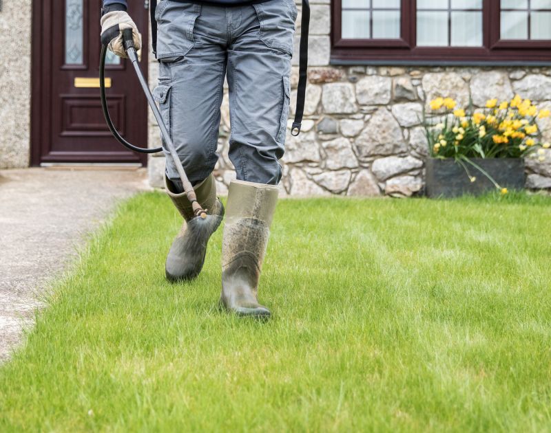 Licensed and Insured Masons